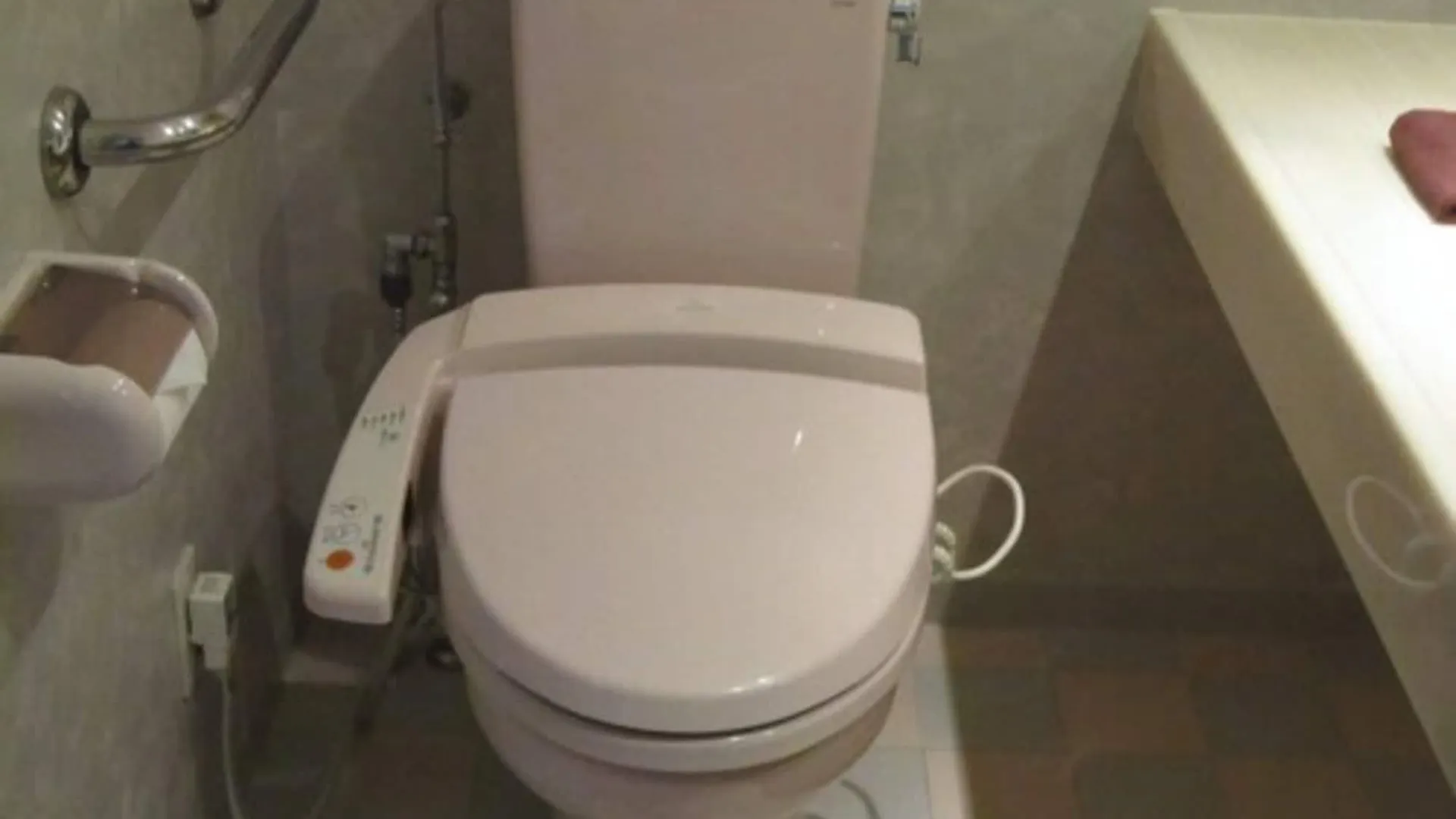 후라노 홉스 호텔 가미후라노